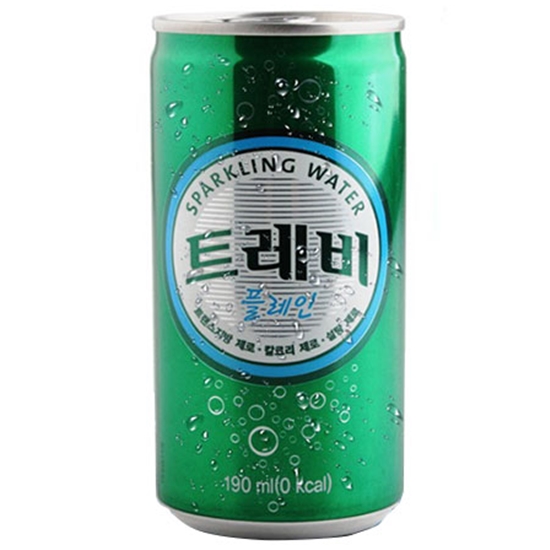 트레비 플레인
